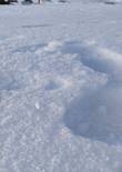 20230119_105813 (Large).jpg (298870 bytes)